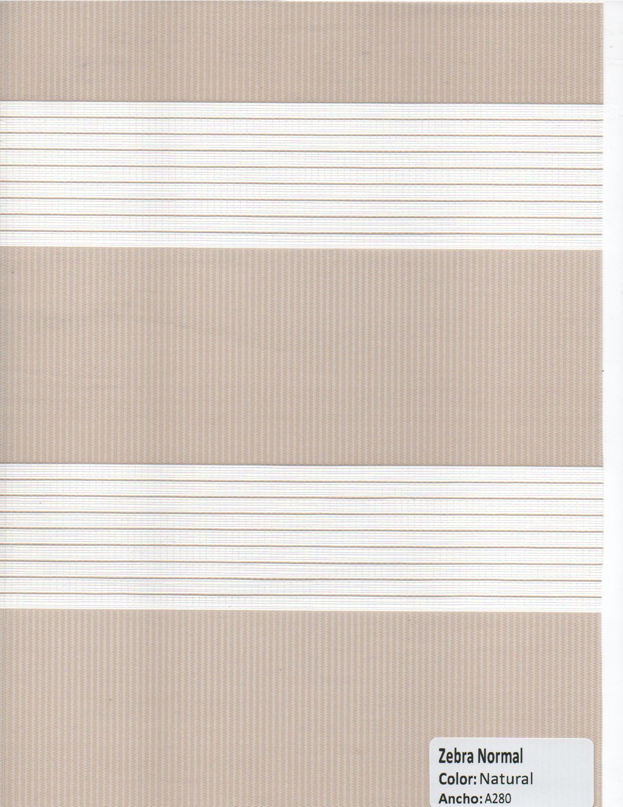 Zebra Normal Natural
